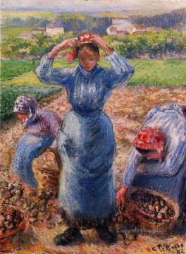 ジャガイモを収穫する農民 1882年 カミーユ・ピサロ Oil Paintings
